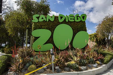 A two-day ticket to the San Diego Zoo costs 104 for visitors age 12 and older 94 for kids age 3 to 10 An annual San Diego Resident membership pass to the. . San diego zoo value day calendar
